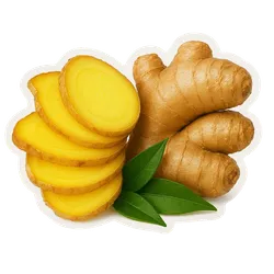 Comprar kion, jengibre fresco en Satipo