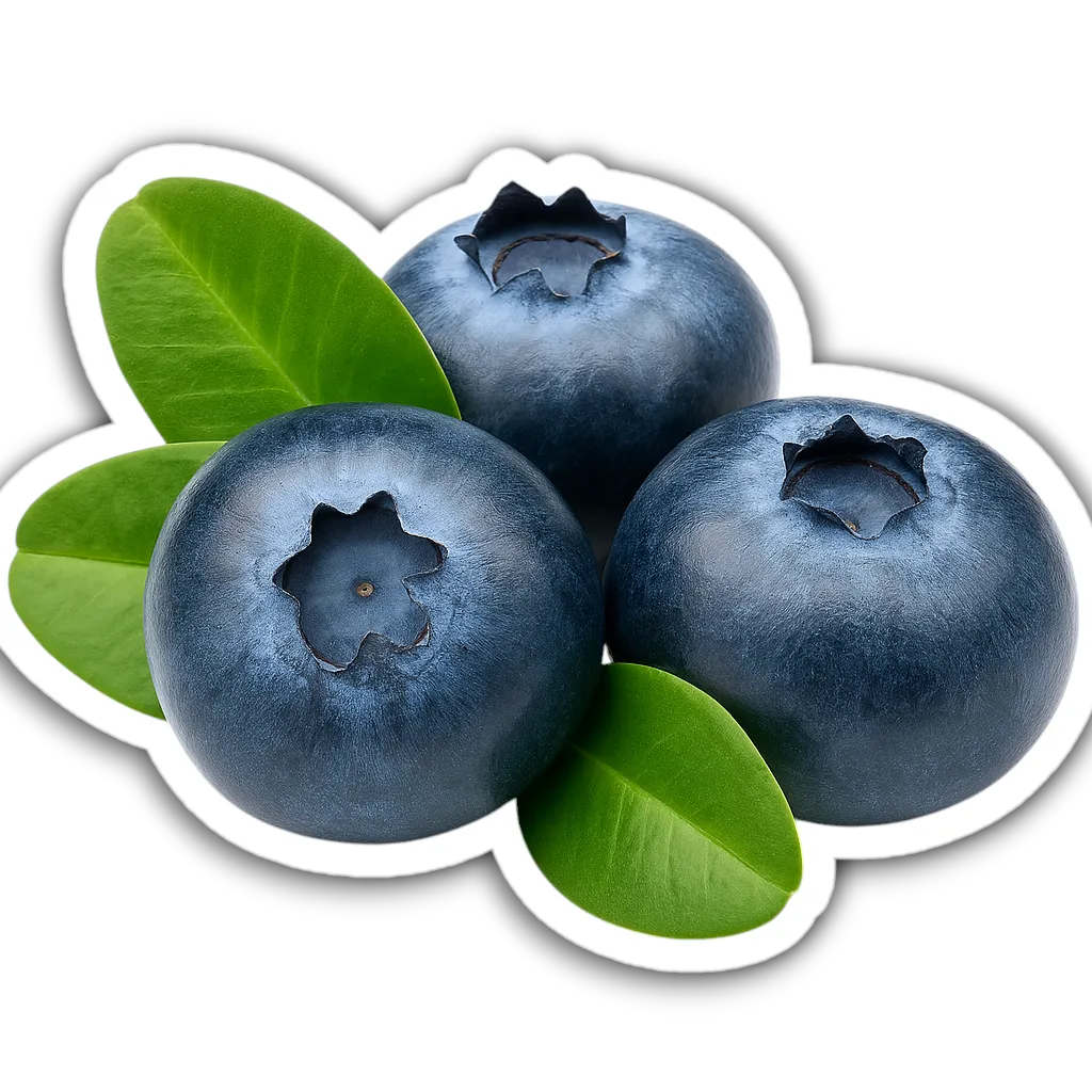 Comprar Arandono fresco en Satipo