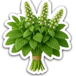 Comprar Muña fresco en Satipo