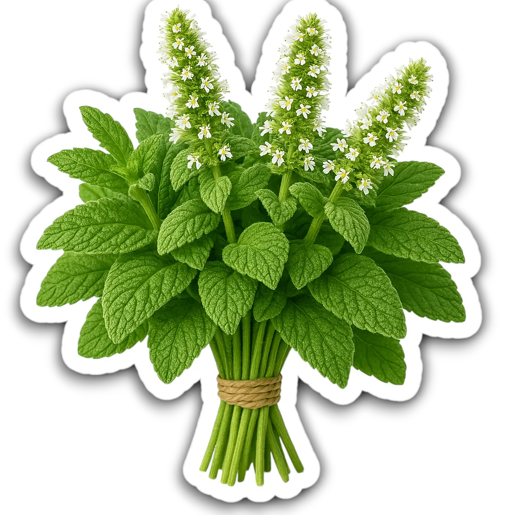 Comprar Muña fresco en Satipo