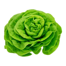 Comprar lechuga seda fresco en Satipo