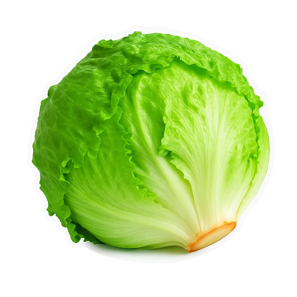 Comprar lechuga carola fresco en Satipo