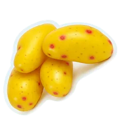 Comprar olluquito amarillo fresco en Satipo