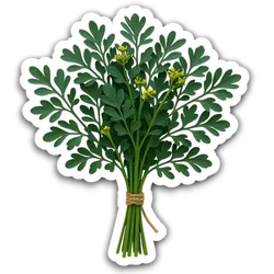 Comprar Ruda fresco en Satipo