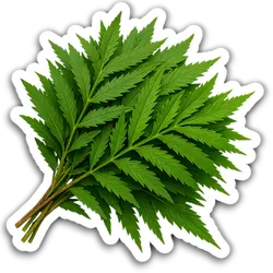 Comprar Huacatai fresco en Satipo