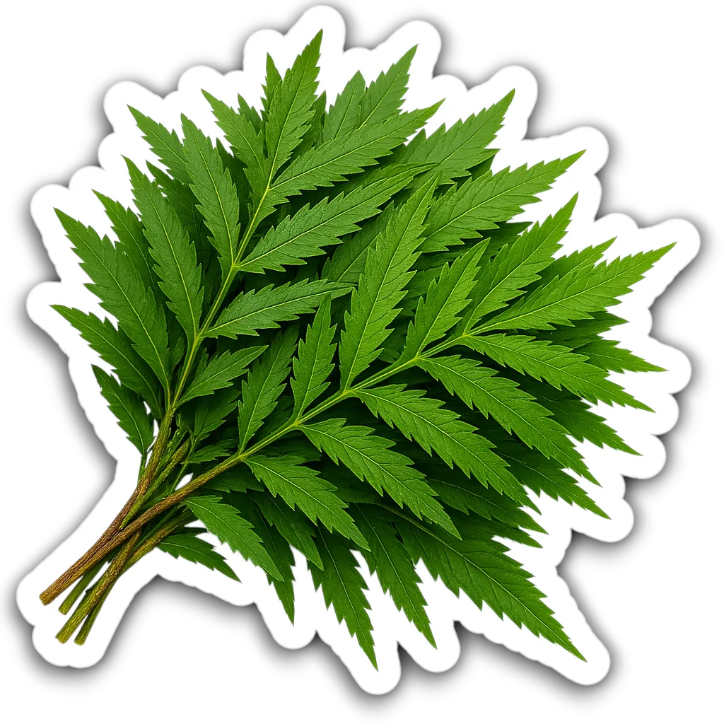 Comprar Huacatai fresco en Satipo