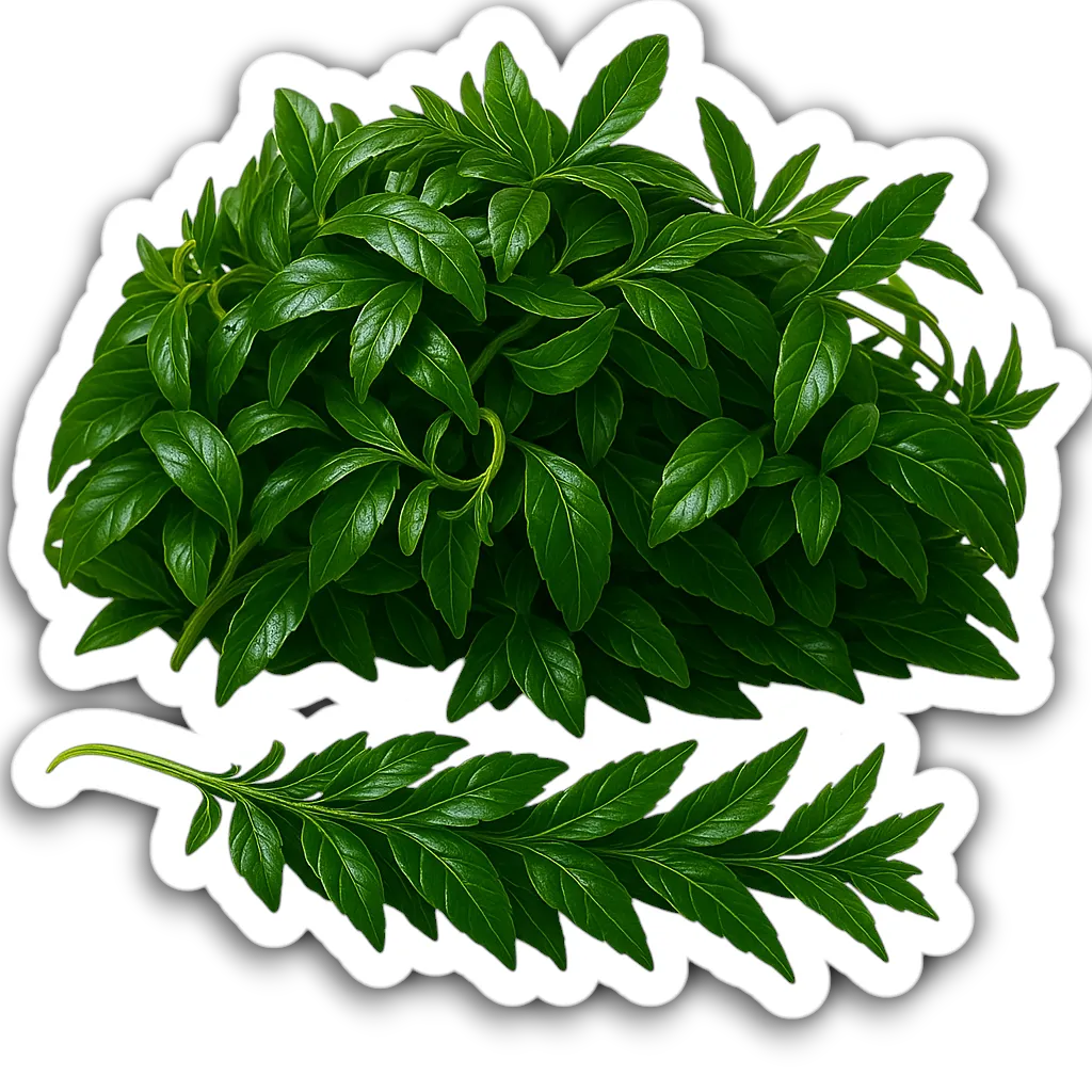 Comprar Chincho fresco en Satipo