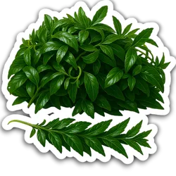 Comprar Chincho fresco en Satipo