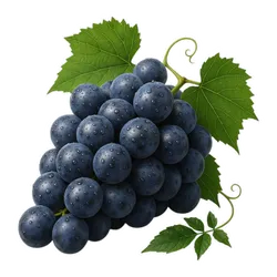 Comprar uva fresco en Satipo