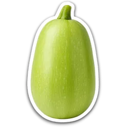 Comprar calabaza verde fresco en Satipo