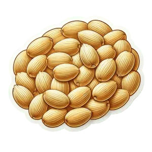 Comprar trigo entero, granel fresco en Satipo