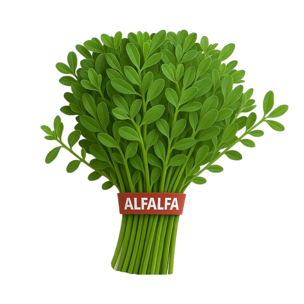 Comprar alfalfa fresco en Satipo