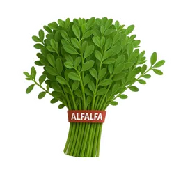 Comprar alfalfa fresco en Satipo