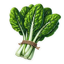 Comprar acelga fresco en Satipo