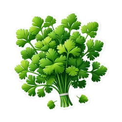 Comprar culantro fresco en Satipo