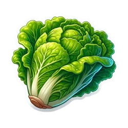 Comprar col china fresco en Satipo