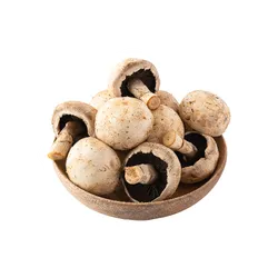 Comprar champiñon fresco en Satipo