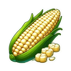 Comprar choclo fresco en Satipo