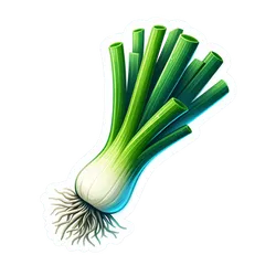 Comprar poro fresco en Satipo