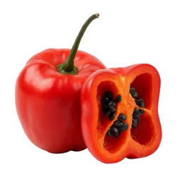 Comprar rocoto fresco en Satipo