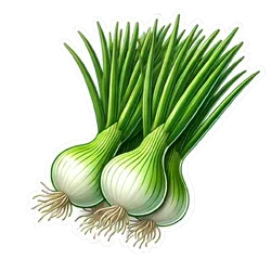 Comprar cebolla china fresco en Satipo