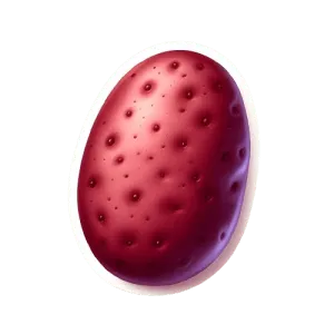 Comprar papa única fresco en Satipo