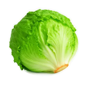 Comprar lechuga carola, docena fresco en Satipo