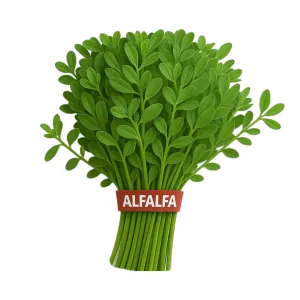 Comprar alfalfa fresco en Satipo
