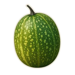 Comprar calabaza madura fresco en Satipo